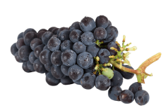 画像：葡萄